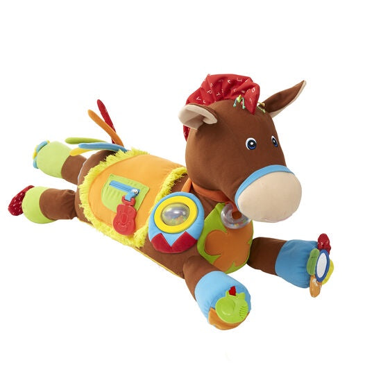 Giddy-Up & Play Activity Toy