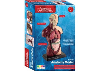 Australian Geographic - Human Anatomy Model 27cm 8 piece