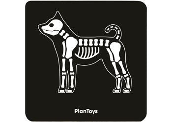 PlanToys - Vet Set