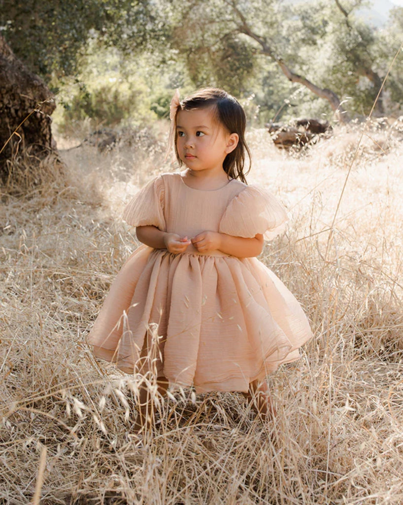 Sofia Dress || Blush