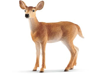 Schleich - 14819 White-tailed doe