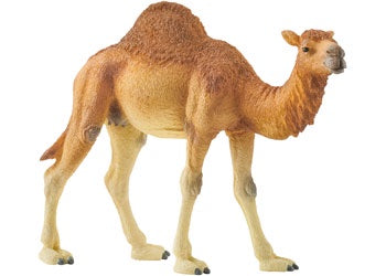 Schleich - 14832 Dromedary