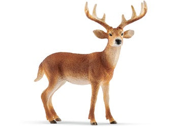 Schleich - 14818 White-tailed buck