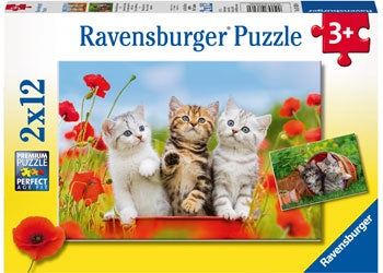 Ravensburger - Kitten Adventures Puzzle 2x12 pieces