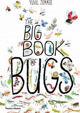 Big Book Of Bugs HB