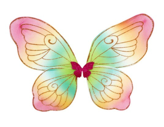 Rainbow Brights Wire Wings