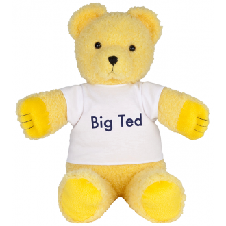 Big Ted 40cm