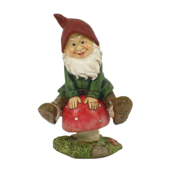 Garden Gnomes - 2 Assorted