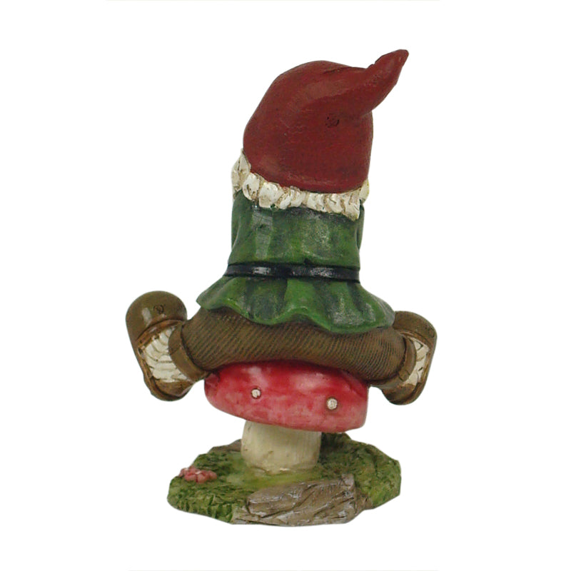 Garden Gnomes - 2 Assorted