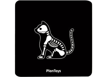 PlanToys - Vet Set