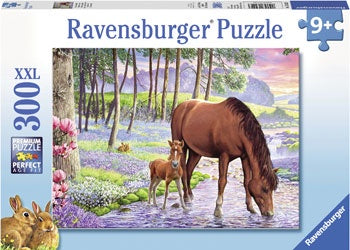 Serene Sunset Puzzle 300pc