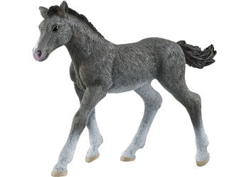 Schleich - 13944 Trakehner Foal