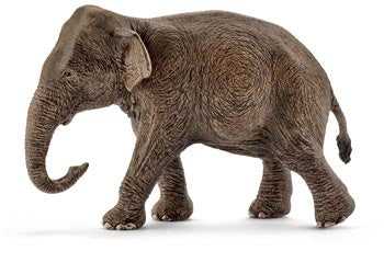 SC - 14753 Asian Elephant Female