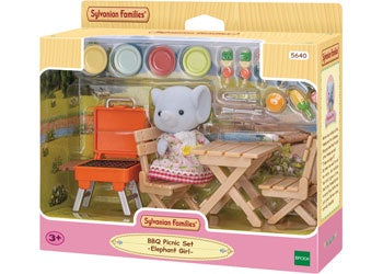 BBQ Picnic Set