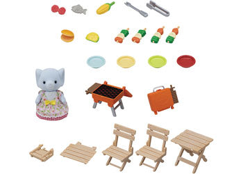 BBQ Picnic Set